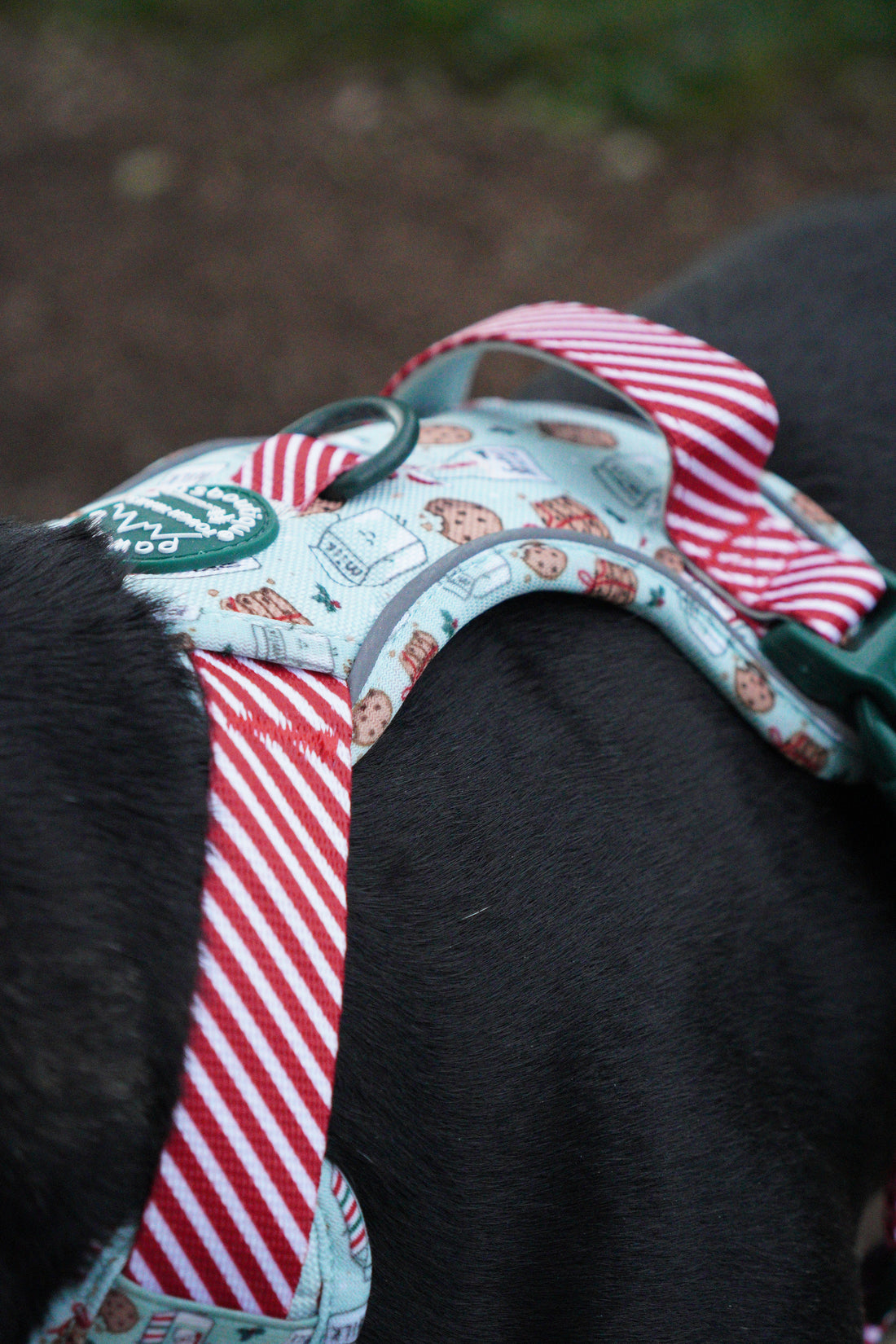 Tough Trails™ Harness -  Milk & Cookies