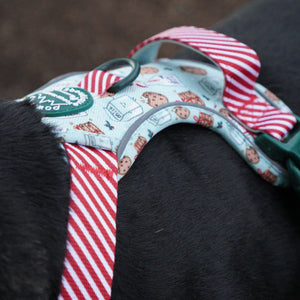 Tough Trails™ Harness -  Milk & Cookies