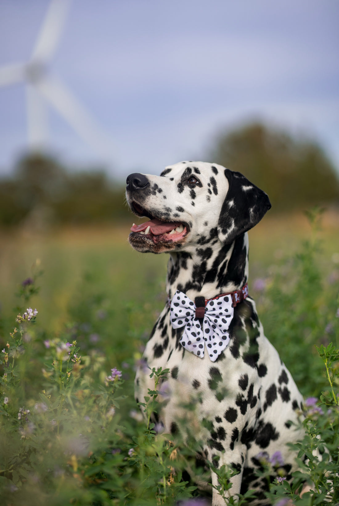 Disney© Sailor Bow Tie - 101 Dalmatians