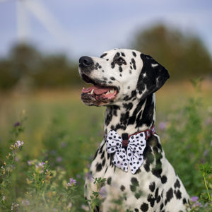 Disney© Sailor Bow Tie - 101 Dalmatians