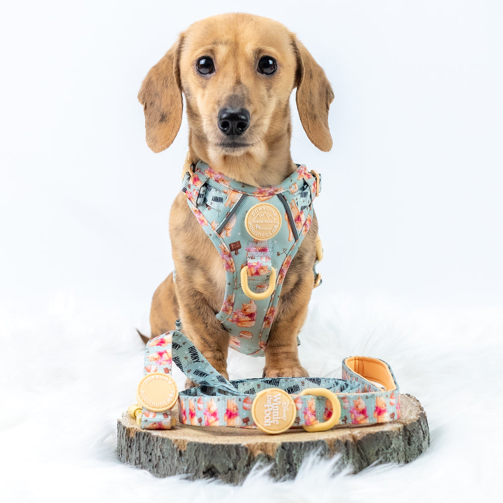 Disney© Lead - Winnie the Pooh