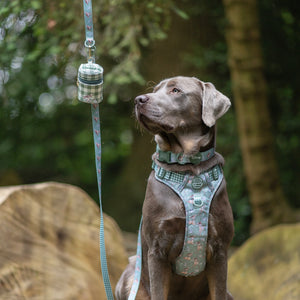 Disney© Lead - Bambi + Thumper