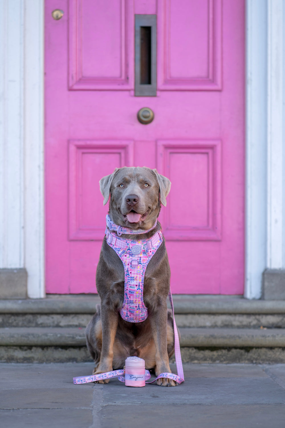 Tough Trails™ Harness - Emily In Paris