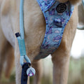 Disney© Collar/Lead Charm - Eeyore