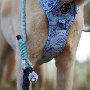 Disney© Collar/Lead Charm - Eeyore