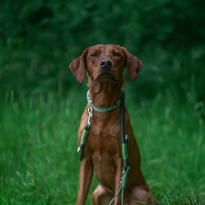 4ft Rope Lead - Khaki