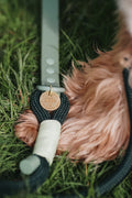 4ft Rope Lead - Walkies Ready® Forest Green