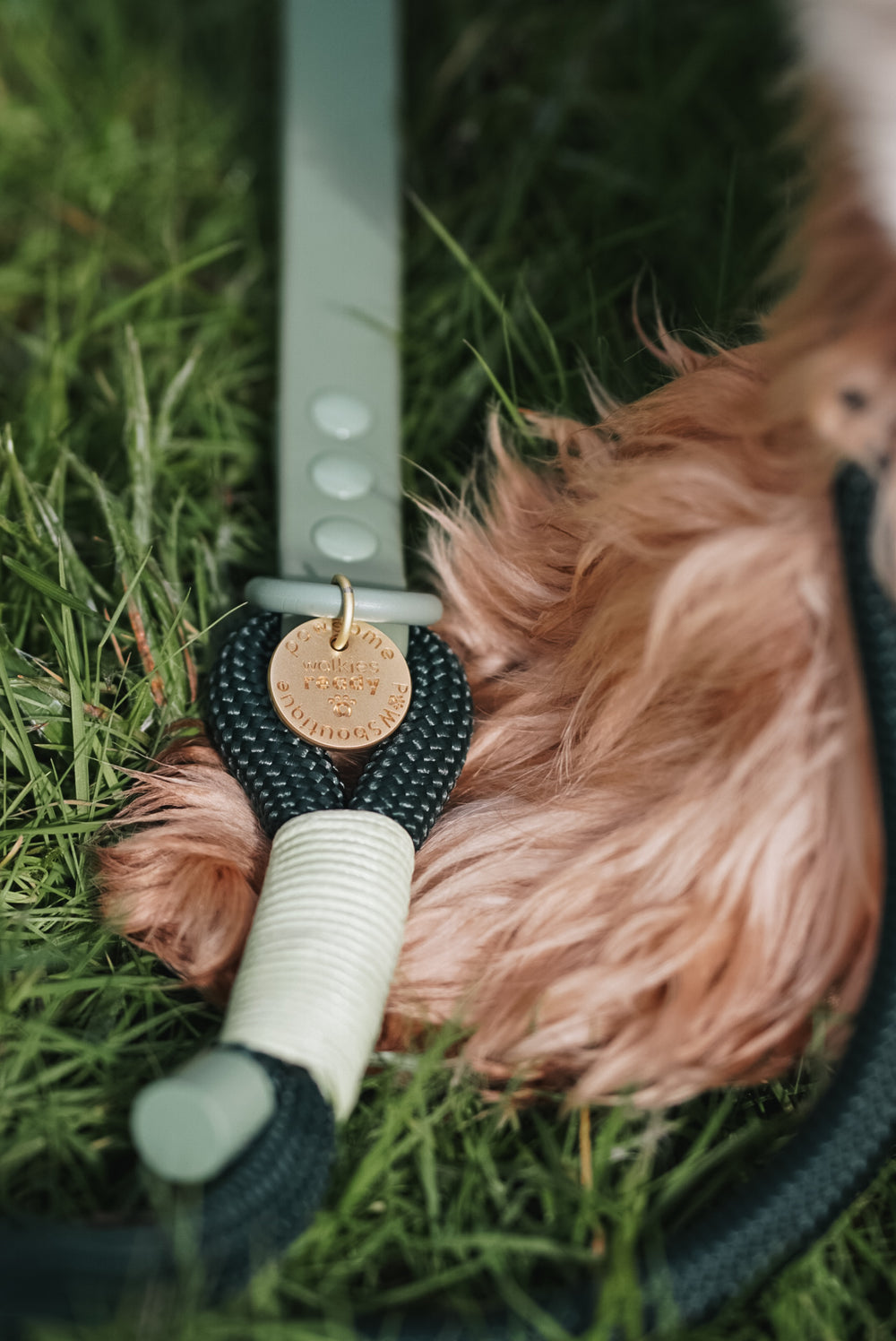 4ft Rope Lead - Walkies Ready® Forest Green