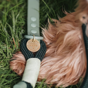 4ft Rope Lead - Walkies Ready® Forest Green