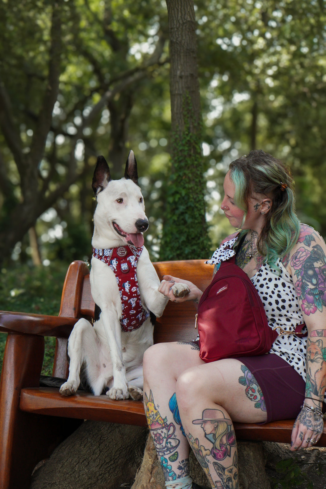 Disney© Tough Trails™ Harness - 101 Dalmatians