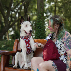 Disney© Tough Trails™ Harness - 101 Dalmatians
