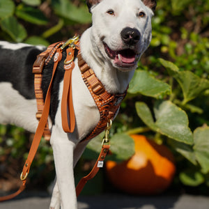 Double Ended Lead - Walkies Ready® Rust (New Clip)