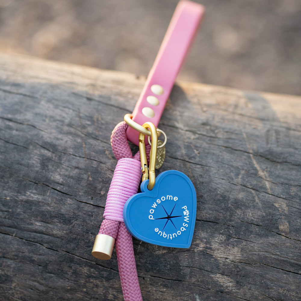 4ft Rope Lead - Pretty Pink