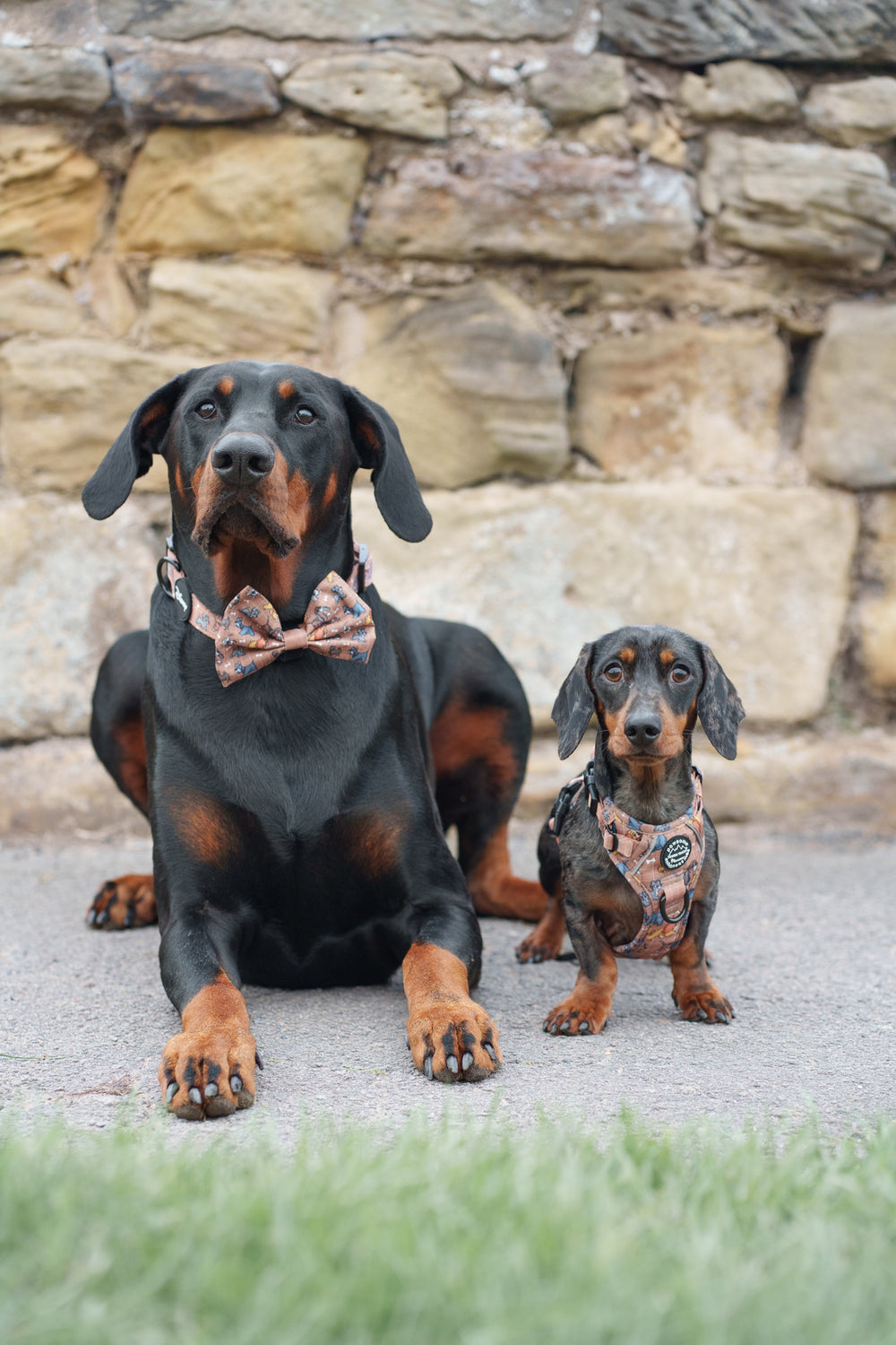 Disney© Bow Tie - Disney Dogs