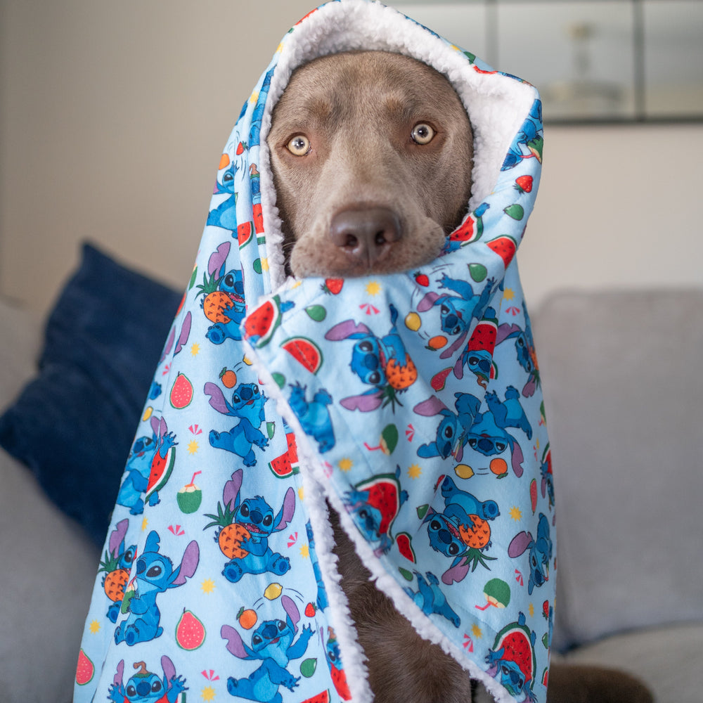 Disney© Dog Blanket - Stitch's Fruit Fiesta