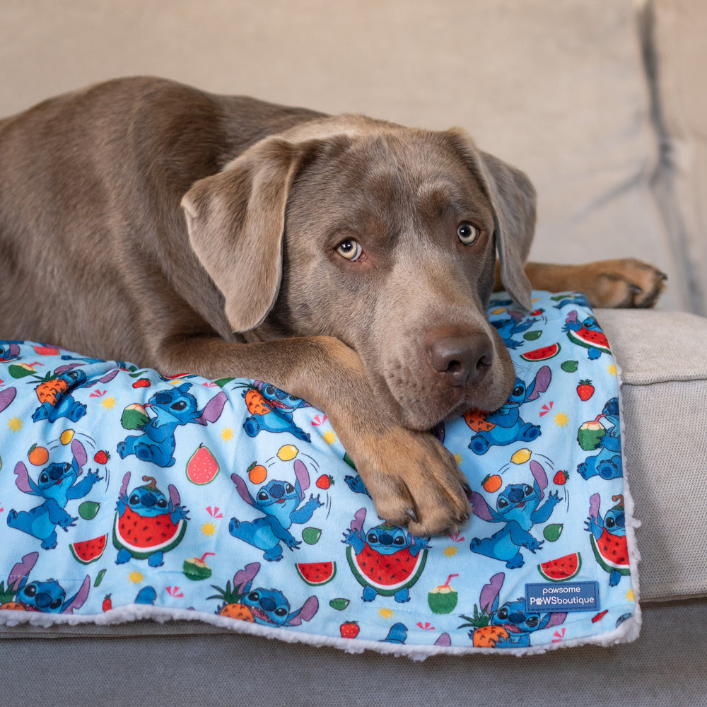 Disney© Dog Blanket - Stitch's Fruit Fiesta