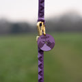 Pawsome Poop Pocket - Walkies Ready® - Plum