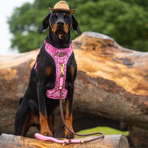 4ft Rope Lead - Brown + Pink