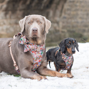 Disney© Bow Tie - Toy Story Friends