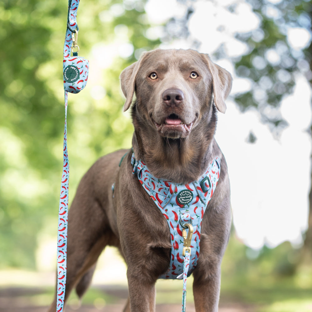 Poo Bag Holder - Stay Spicy