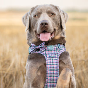 Bow Tie - Tweed Twilight