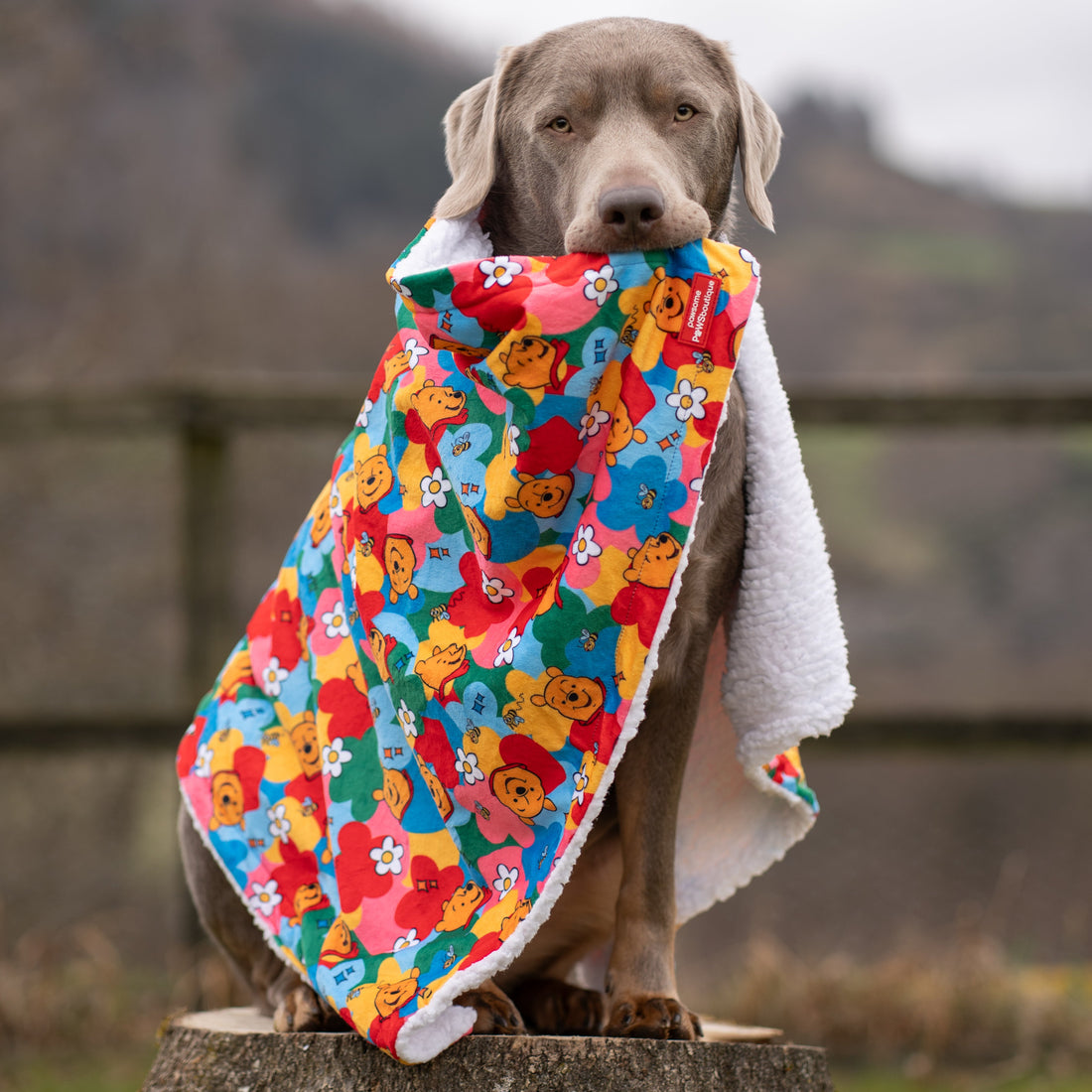 Disney© Dog Blanket - Winnie Goes Retro