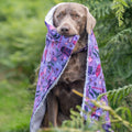 Dog Blanket - Roaming Wild
