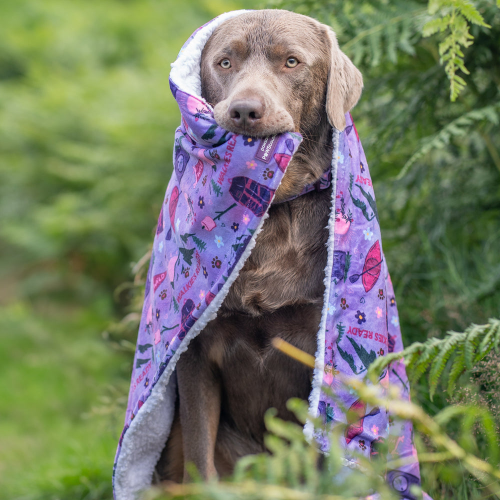 Dog Blanket - Roaming Wild