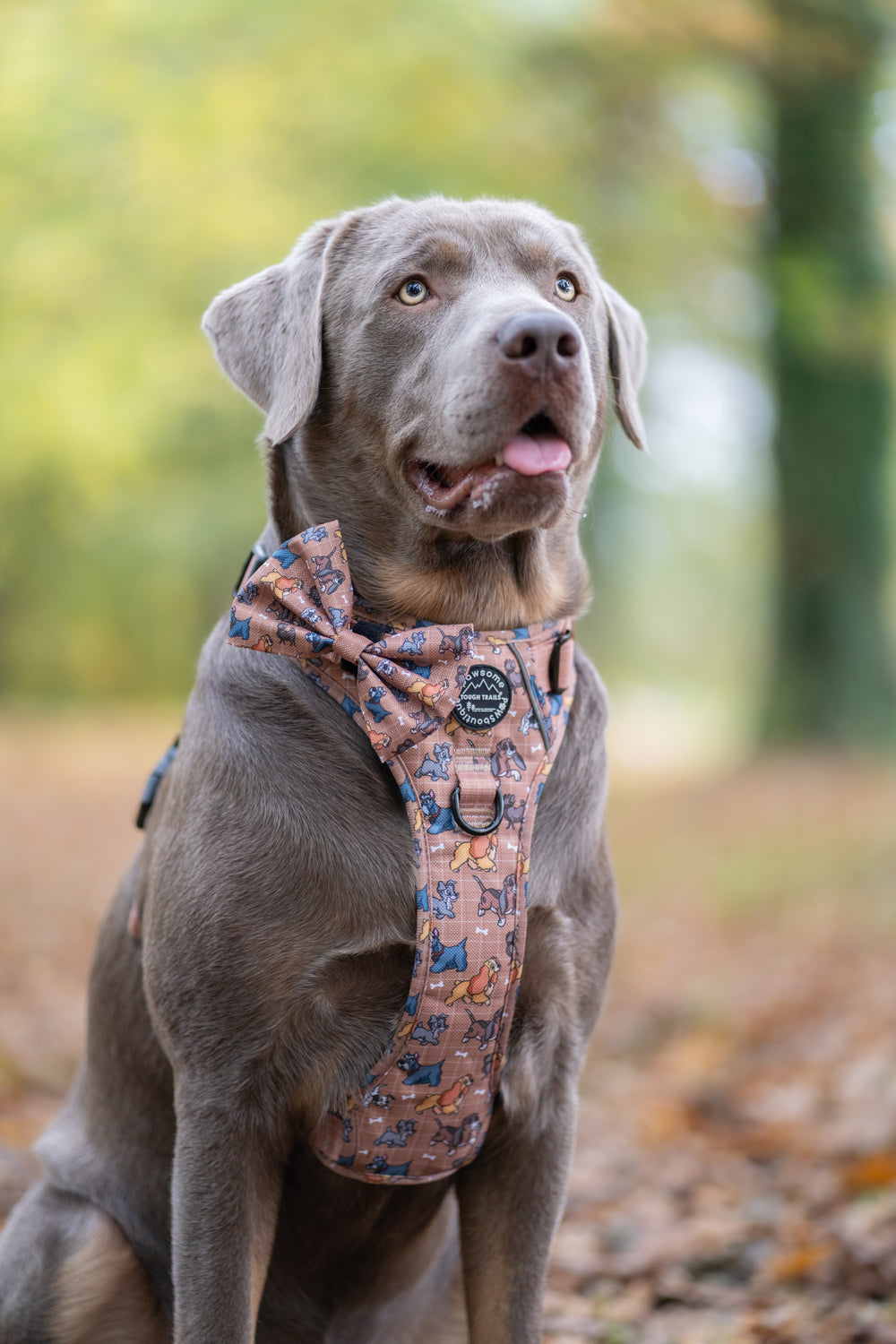 Disney© Bow Tie - Disney Dogs