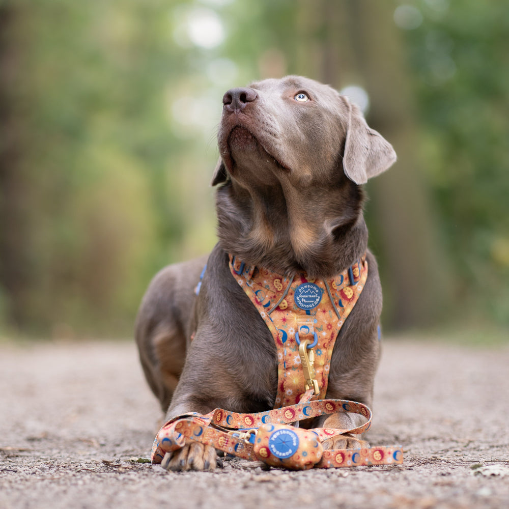 Poo Bag Holder - Celestial Spirit