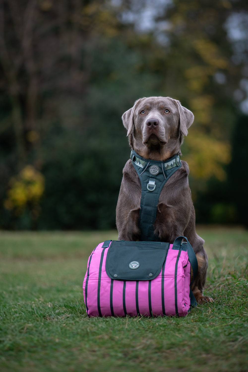 Travel Mat - Walkies Ready®
