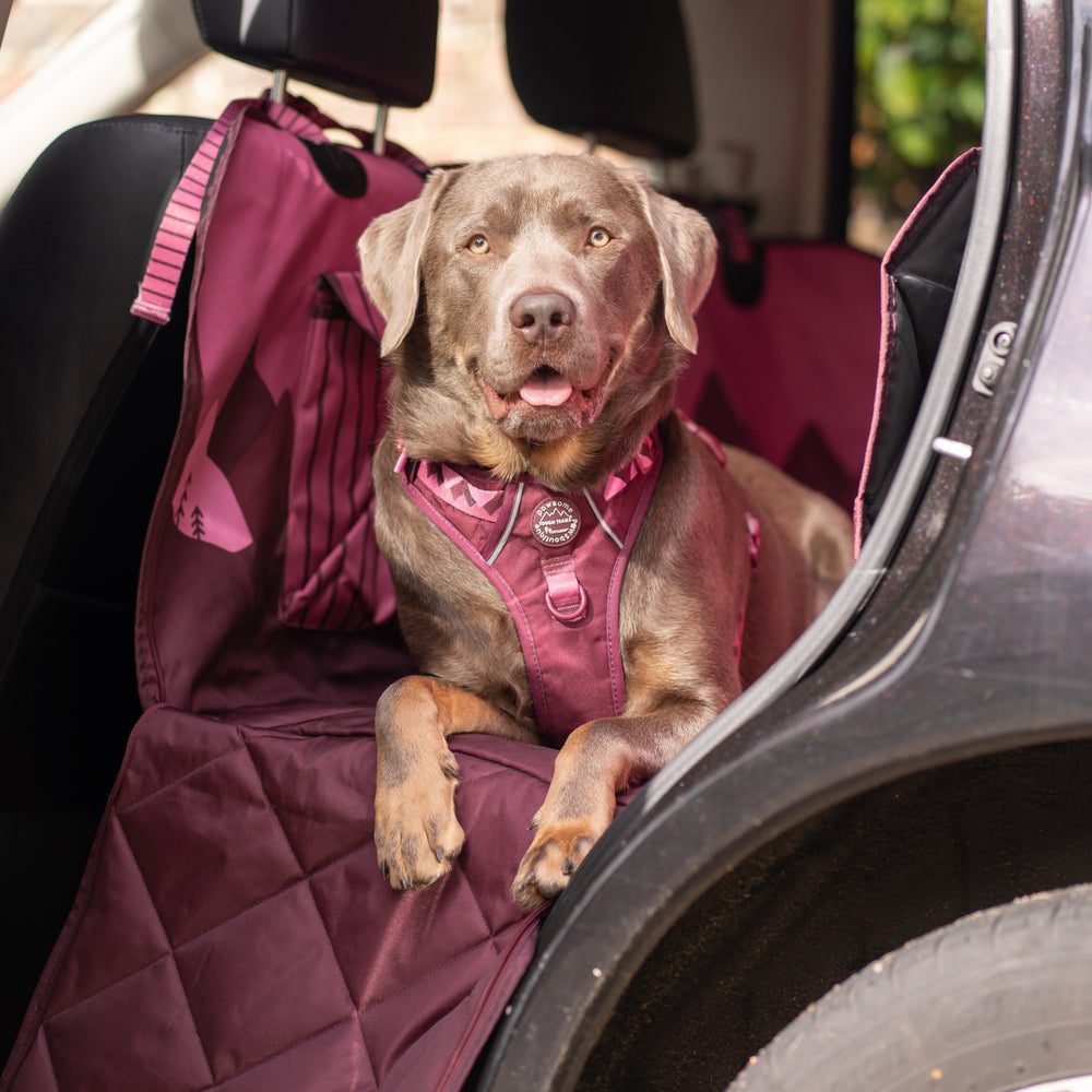 Car Seat Cover - Walkies Ready® Mulberry