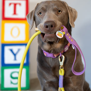 Disney© 4ft Rope Lead - Buzz Lightyear