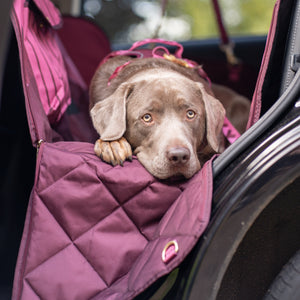 Car Seat Cover - Walkies Ready® Mulberry