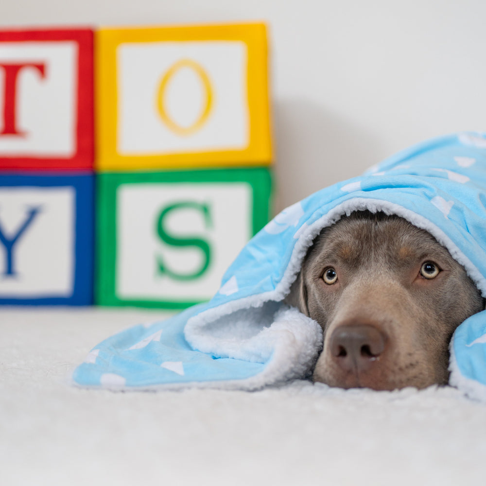 Disney© Dog Blanket - Buzz Lightyear