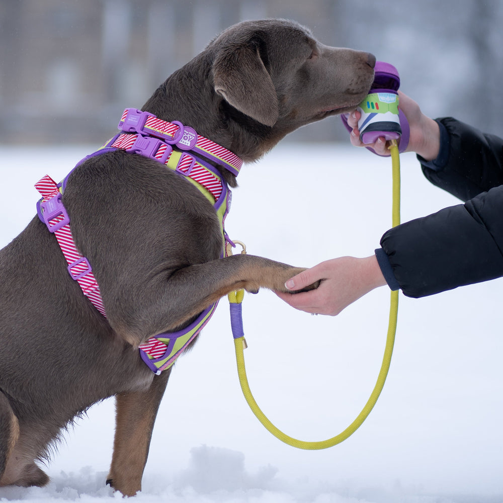 Disney© 4ft Rope Lead - Buzz Lightyear