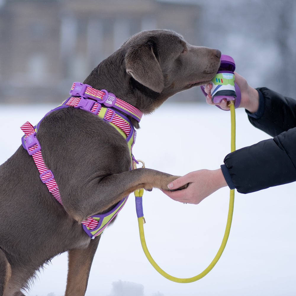 Disney© Treat Pouch - Buzz Lightyear