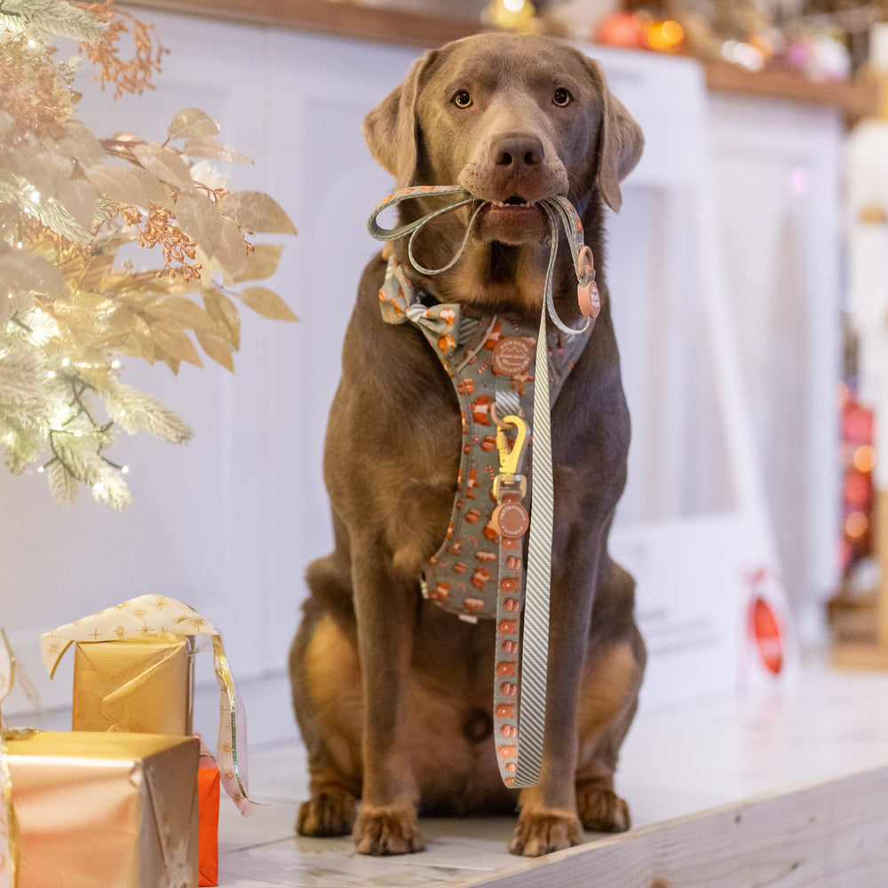 Disney© Lead - Gingerbread Bear Sage