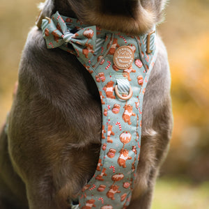 Disney© Bow Tie - Gingerbread Bear Sage