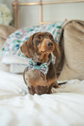 Disney© Bow Tie - Stitch's Slumber Party