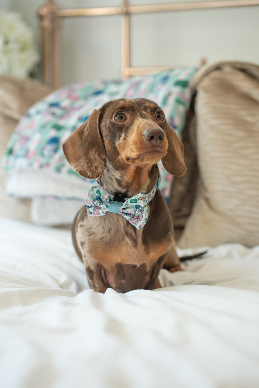 Disney© Bow Tie - Stitch's Slumber Party