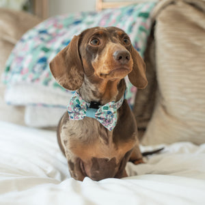 Disney© Bow Tie - Stitch's Slumber Party