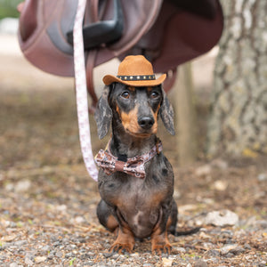 Bow Tie - Cowboy