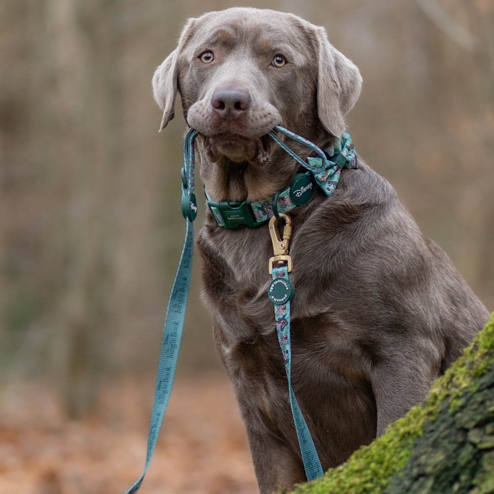 Disney© Disney©Lead - Jungle Book