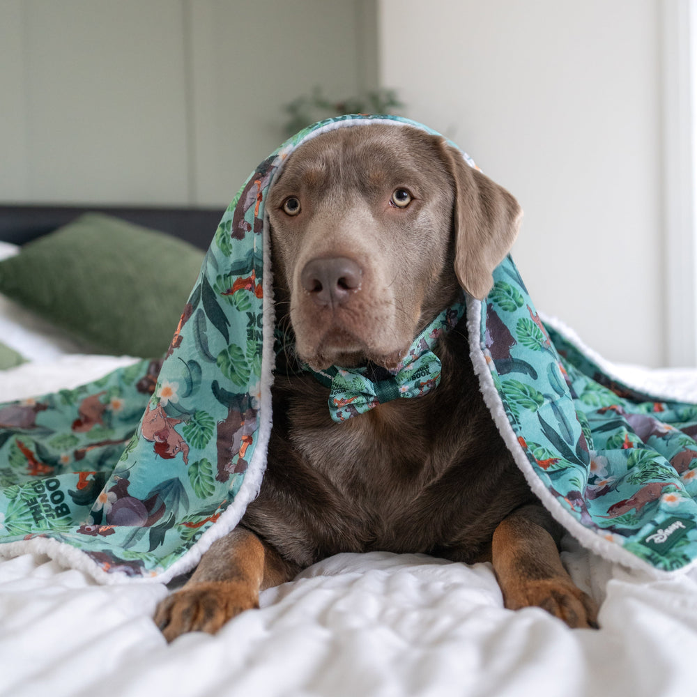 Disney© Dog Blanket - Jungle Book