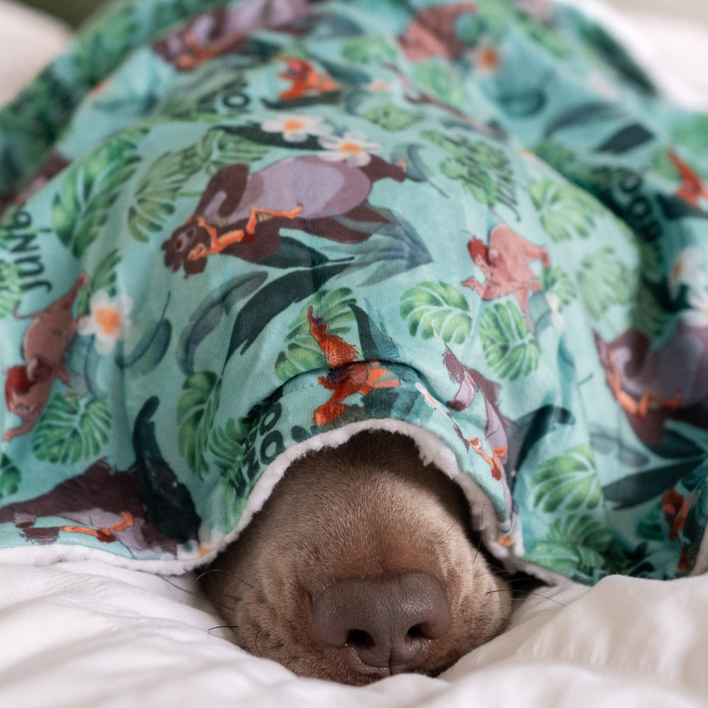 Disney© Dog Blanket - Jungle Book