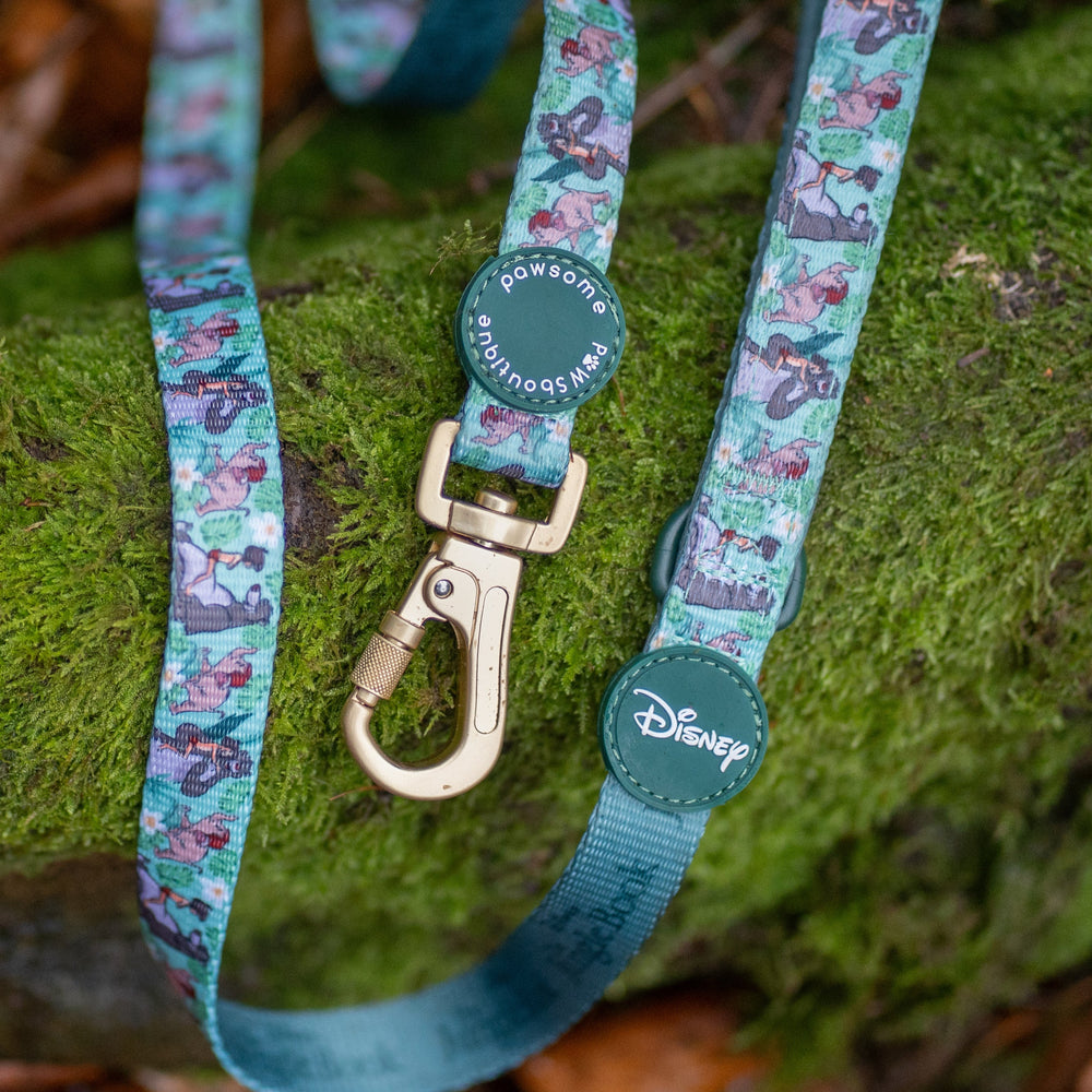 Disney© Disney©Lead - Jungle Book