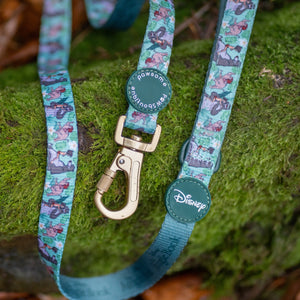 Disney© Disney©Lead - Jungle Book