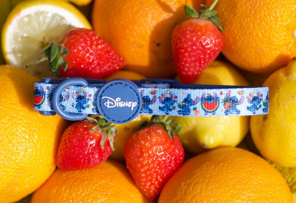 Disney© Collar - Stitch's Fruit Fiesta