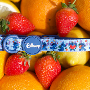 Disney© Collar - Stitch's Fruit Fiesta